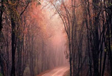 包包工艺流程视频简单介绍图片,包包的做工