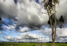 皮件制作介绍视频过程描述,皮具制作超级基本功